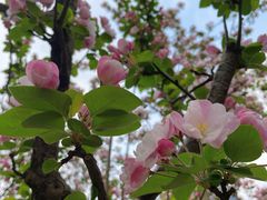 -元大都城垣遗址公园