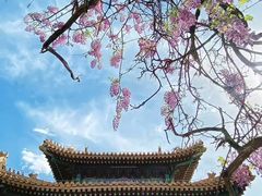 -北京国子监胡同