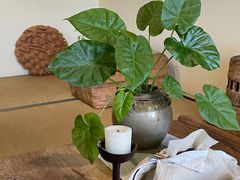 店内布置-翠田Green Field Kitchen
