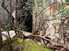 -森SPA·泰式按摩·精油Massage(宝安中心店)