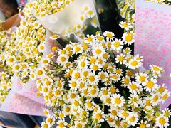 -沪花拾者(好再来花卉鲜花店)