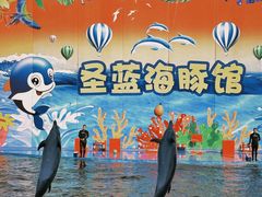 -北戴河圣蓝海洋公园