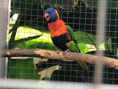 -大连森林动物园