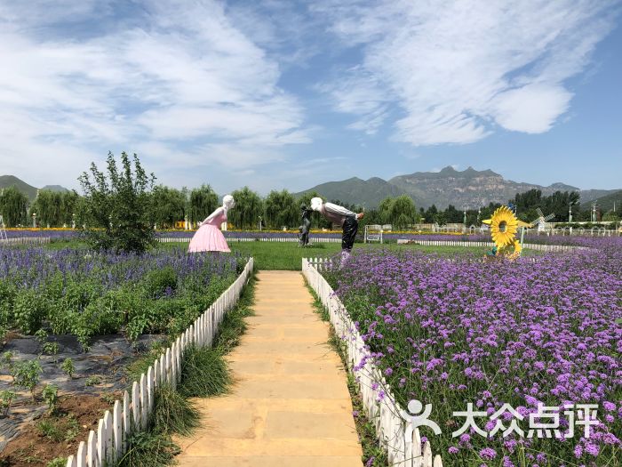 爱琴海薰衣草庄园图片 - 第9张