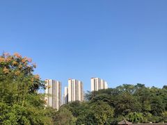 -龙头寺公园
