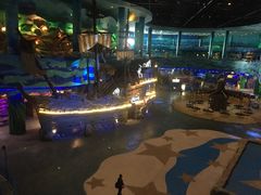 -青岛嘉年华主题乐园