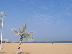 -金梦海湾浴场