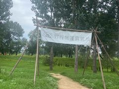 -潇河湿地公园