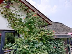 -西院1号(龙井店)
