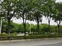 -洨河生态公园
