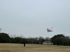 -上海滨江森林公园