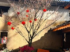-寂照庵