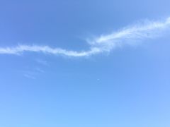 -白塘生态植物园