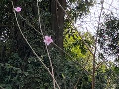 -世间香境·七溪地