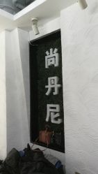 -尚·丹尼Hair