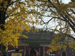 -佛荫寺