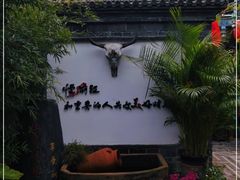 -慢丽江·云南野生菌土鸡锅(付家庄店)