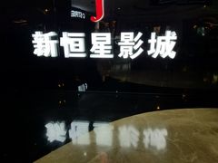 -上海金逸影城(静安大悦城店（原新恒星影城）)