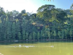 -广州市帽峰山景区