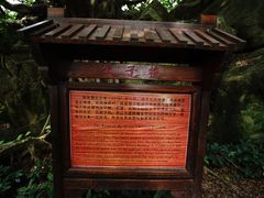-宋井风景区