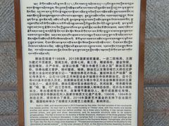 -塔尔寺菩提树