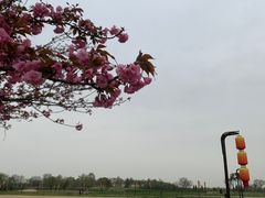 -汉长安城未央宫国家考古遗址公园