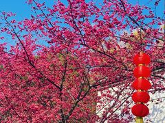 -乌山风景区