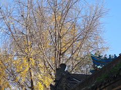 -西安化觉巷清真大寺