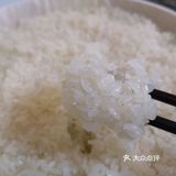 有一块属于金黄的皮下那层油润喷香的糯米