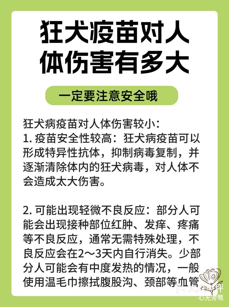 狂犬疫苗对人体伤害有多大