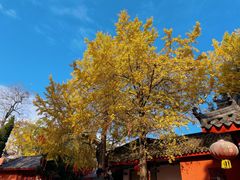 -金堂县云顶石城风景区