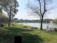 -尚贤河湿地