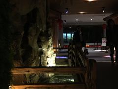 -御池园(顾村公园店)