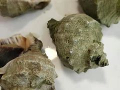 -常家活海鲜小吃(仅一家无分店)