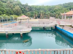 -广东惠东海龟国家级自然保护区