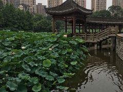 -龙头寺公园
