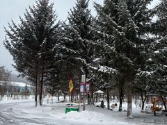 -横道河子东北虎林园