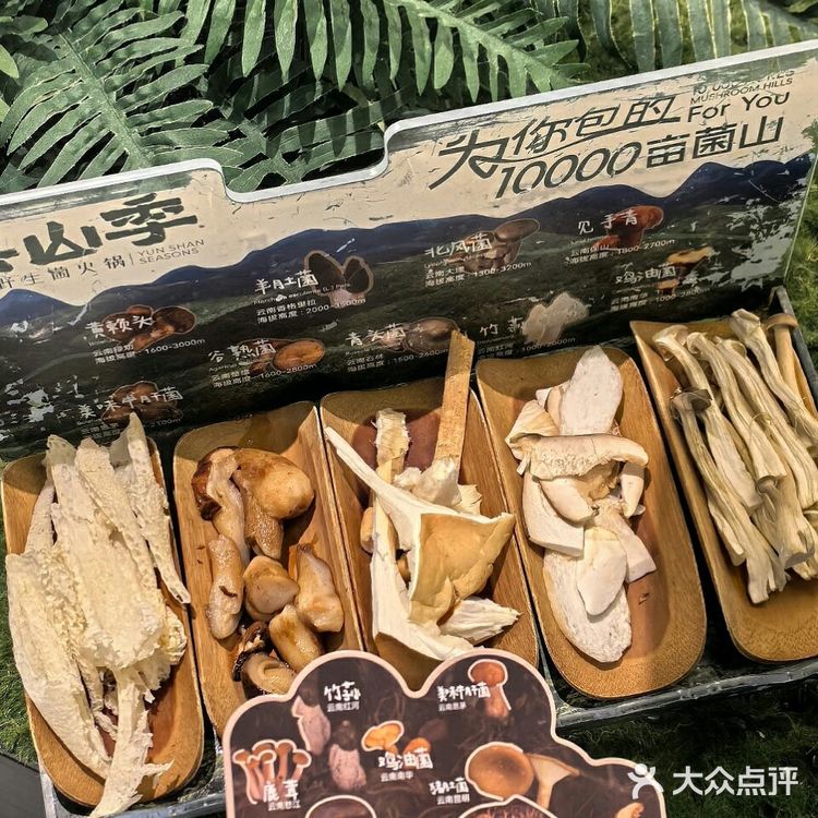 来狮山龙湖 我只干一件事！