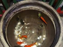 -大海碗·京菜炸酱面(雍和宫店)