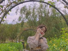 -神光山国家森林公园