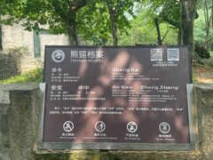 -都江堰中华大熊猫苑