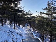 -黄山风景区