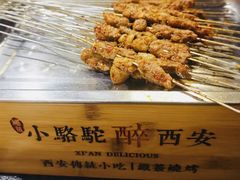 -福苗小骆驼烧烤(大唐不夜城店)