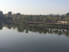 -东郊湿地公园