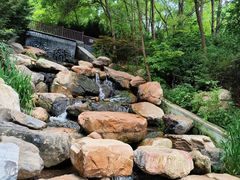 -大连植物园