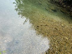 -夏霖九天银瀑风景区