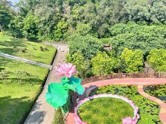 -广州莲花山旅游区