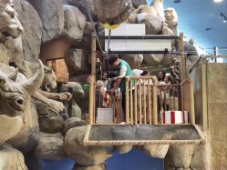 -卡通尼·Safari非洲探索乐园·生日会(金桥国际商业广场店)