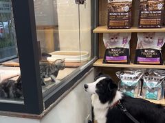 -帕帕拉兹宠物(亚洲旗舰店)