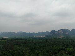 -南宁花花大世界景区